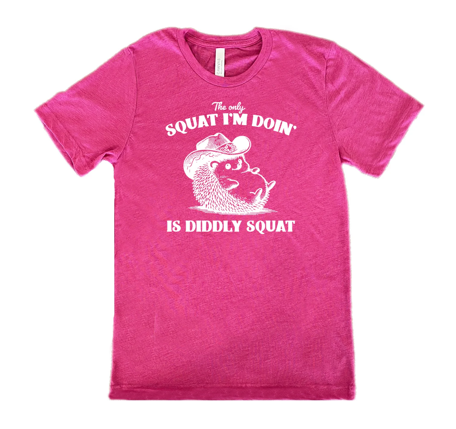 The Only Squat I'm Doing Is Diddly Squat Shirt Unisex - Image 9